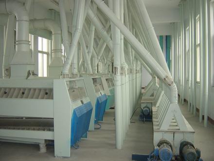 小麥面粉加工清理車間