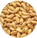 小麥 小麥