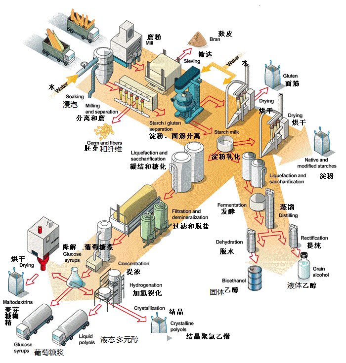 202405086104.png 圖片1-1.png